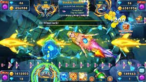 qq8872